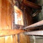 Skimmelsvamp på loftet (3)